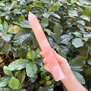 Op de afbeelding: Een gepolijste, lichtroze rozenkwarts obelisk, gehouden tegen een achtergrond van groen gebladerte. Het kristal is rechthoekig met een puntige top. Dit decoratieve item is een natuursteen.