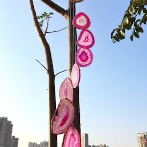 Puede incluir: Un carillón de ágata rosa con un anillo de madera en la parte superior y siete rodajas de ágata colgando de él. El carillón está colgado de una rama de árbol contra un cielo azul.