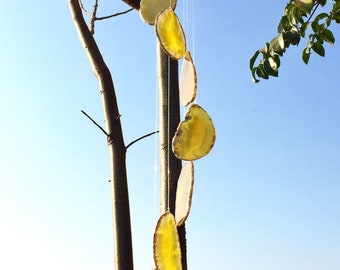 Yellow Agate Windchime Agate Slice Wind Chime Gemstone Stone Home Home Décor Crystal Gift Home Window Eave Balcony Décoration