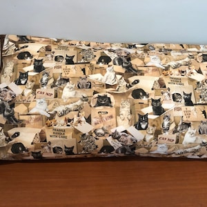 Cats in boxes pillowcases