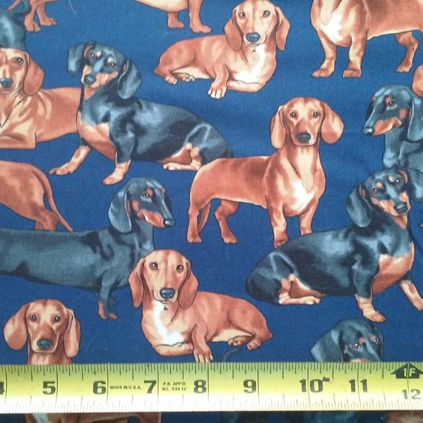 Dachshund #C3190