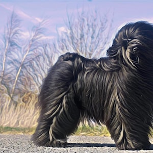 Mystic Wind- Fine Art Print / Tibet Terrier