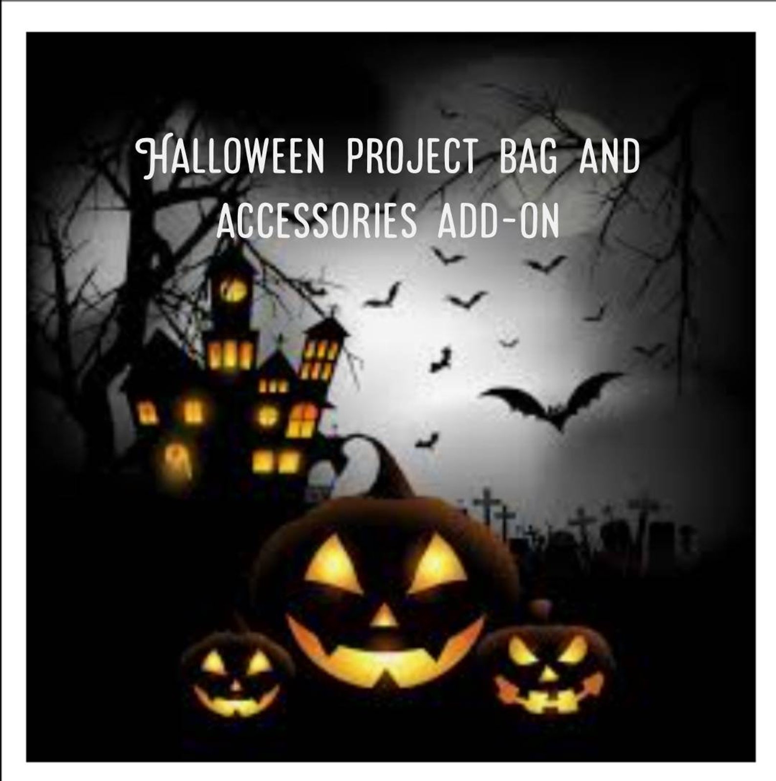 Pre order 2022 Halloween project bag and accessories add-on | Etsy