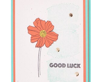 Wife Flowers Create Your Own Greeting Birthday 154-Thanks Best Wishes Miss You Note Girlfriend Get Well Thinking of You Customize