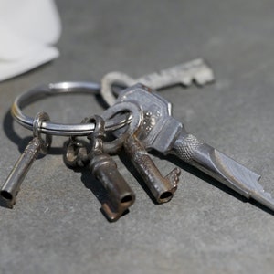 Peut inclure: Un porte-clés argenté avec cinq clés, dont une grande clé argentée à bord dentelé. Les clés sont sur un anneau argenté.