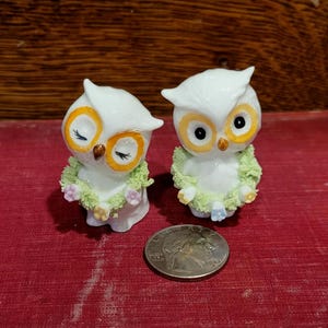 May include: Two white ceramic owl figurines with orange and black eyes, wearing green and pink floral garlands. The owls are next to a quarter coin on a red surface. The owls have a whimsical, decorative design.