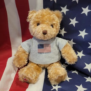 Year 2000 Teddy Bear - Etsy