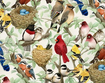 Beautiful Birds Cream by Elizabeths Studio, 44" fabric, 4320E-CRM,  100% cotton - Back in Stock