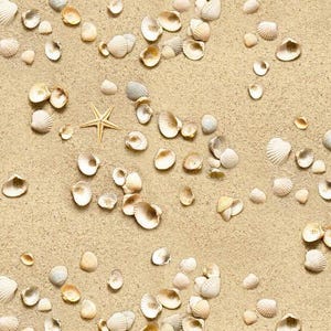 Beach Sand with Seashells 44&quot; fabric by Elizabeth&#39;s Studio, 555-sand