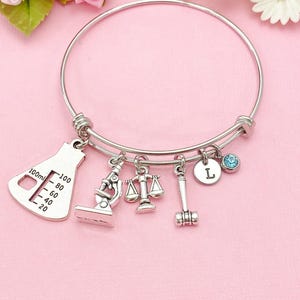 May include: Silver charm bracelet with multiple charms, including a beaker, microscope, scales, gavel, initial "L" charm, and a blue crystal. The bracelet is on a pink background with flowers.