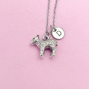 May include: Silver necklace with a small lamb charm and a silver disc charm with the letter 'D' on it.
