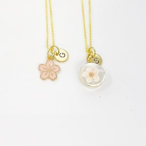Japanese Cherry Blossom Necklace, Real Press Flower, Gold Sakura Necklace, Japanese Girlfriends Gift, N5158A