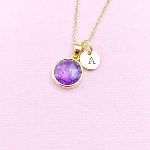 Amethyst Necklace, Gold Natural Amethyst Charm Necklace, N3442