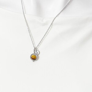 Gold or Silver Tiger Eye Necklace, Natural Gemstone Jewelry, N4691A image 1