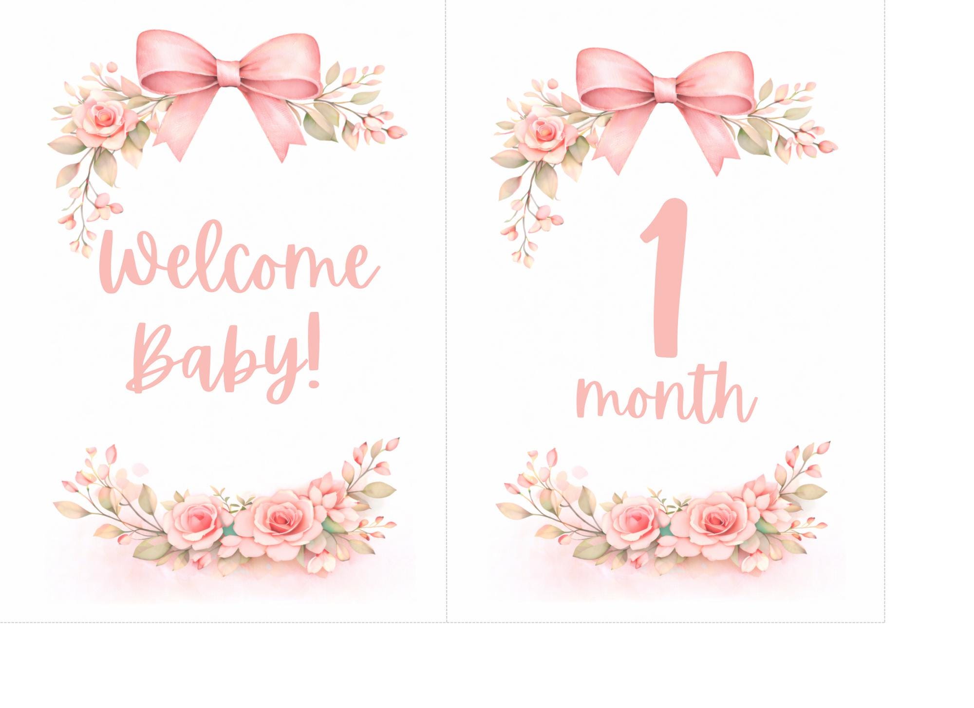 Pink Floral Baby Girl Milestone Cards, Monthly Photo Prop (digital ...