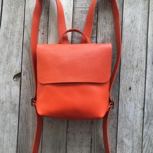 Leder Mini Rucksack glattes Vollnarbenleder Geschenk UN APK