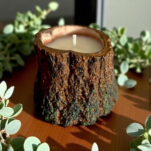 Puede incluir: Una vela marrón en un recipiente con forma de tocón de árbol. La vela tiene cera blanca y una sola mecha. El recipiente tiene una superficie texturizada con detalles verdes en la base. La vela está rodeada de follaje verde.