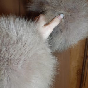 May include: Close-up of a light gray fur collar. The fur is soft and fluffy, with a slight sheen. The collar appears to be part of a larger garment, possibly a coat or jacket. The background is a solid brown color.
