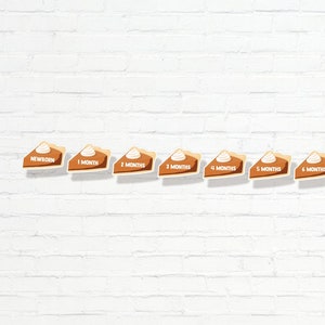 May include: A banner of 12 pumpkin pie slices with white frosting, each slice has a number from 1 to 12 and the words "MONTHS" printed on them.