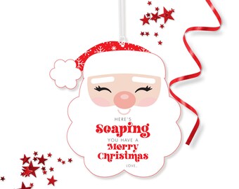 Santas zeeplabels - afdrukbare zeepbakje You have a Merry Christmas cadeaulabel - leraar vakantie handzeeplabels - kerstcadeaulabel - 0063