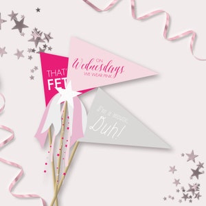 Könnte beinhalten: Drei rosa und graue Wimpelflaggen mit rosa und weißen Bändern. Die Flaggen haben den Text "That's fetch", "On Wednesdays we wear pink" und "I'm a mouse, duh!" Die Flaggen sind auf Holzstöcken mit silbernen Glitzersternen, die um sie herum verstreut sind.