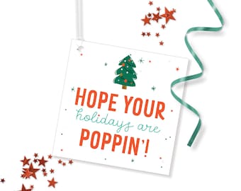 ¡Esperamos que sus vacaciones sean geniales! Etiquetas: etiquetas imprimibles para obsequios de fiestas navideñas para el aula para niños: etiqueta de agradecimiento con forma de palomitas de maíz Pop it Toy - 0172