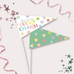 Puede incluir: Dos banderas de pennant con fondo verde y blanco. La bandera blanca tiene el texto "You're my lucky charm" en colores arcoíris. La bandera verde tiene un patrón de arcoíris, corazones, tréboles, herraduras y estrellas.