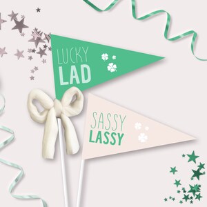 May include: Two green and pink pennant flags with white shamrocks and text. The green flag says "Lucky Lad" and the pink flag says "Sassy Lassy".