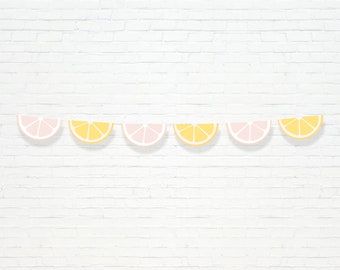 Lemon Slice Garland - Printable Pink Lemonade Stand 1st Birthday Party Banner - Pretty Summertime Citrus Party Decor - 0024