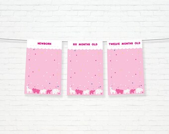 Circus Animal Cracker Monthly Photo Banner - Printable Pink Frosted Animal Cookie First 12 Month Milestone - 1st Birthday Party Decor - 0068
