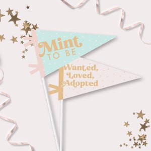 Op de afbeelding: Twee pastelkleurige vlaggetjes met gouden tekst. De bovenste vlag is lichtblauw met witte stippen en zegt "Mint to Be". De onderste vlag is roze met witte stippen en zegt "Wanted, Loved, Adopted".