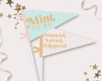 Adoption Pennant Flags - Printable Mint To Be Flag Photo Prop - Wanted, Loved, Adopted New Baby Adopting Party Decor - 0109