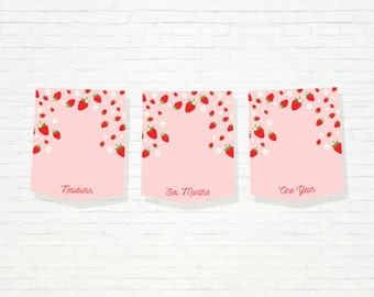 Strawberry Monthly Photo Banner - Printable Very Berry First 12 Month Milestone Garland - Berry Sweet 1st Birthday Party Decor - 0013