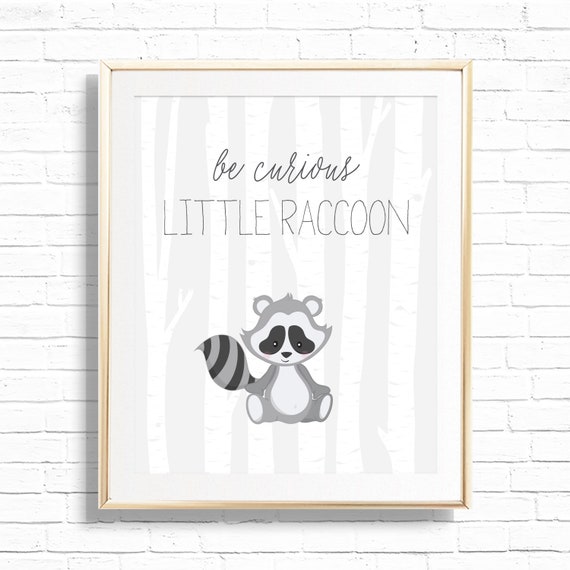 Be Curious Little Raccoon Art Print - Printable Woodland Animals Baby Shower Wall Decor - Nursery Gallery Print Set- Instant Download - WND1 Il_570xn