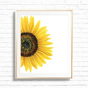Sunflower Print - Printable Sunflower Illustration Wall Art - Boho Sunny Sunflower Girl Nursery Decor - Sunflower Kitchen Poster - 0047