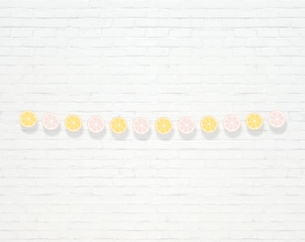 Pink Lemonade Garland - Printable Lemon Slice Lemonade Stand 1st Birthday Party Banner - Pretty Summertime Citrus Party Decor - 0024