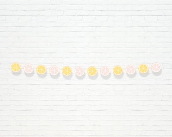 Pink Lemonade Garland - Printable Lemon Slice Lemonade Stand 1st Birthday Party Banner - Pretty Summertime Citrus Party Decor - 0024