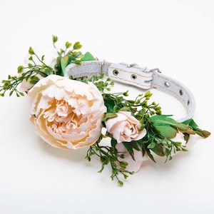Wedding dog collar,Peony floral collar,ivory flower,leather,pet accessory,flower wedding dog collar,Peony wedding image 1