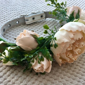 Wedding dog collar,Peony floral collar,ivory flower,leather,pet accessory,flower wedding dog collar,Peony wedding image 6