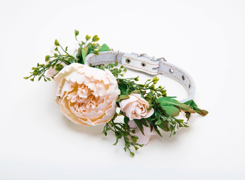 Wedding dog collar,Peony floral collar,ivory flower,leather,pet accessory,flower wedding dog collar,Peony wedding image 1