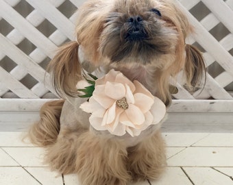 Wedding dog collar,Flower dog collar.Beautiful ivory dog collar with ivory rose and crystal heart.Foam ivory rose and leather collar