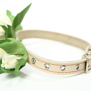 Puede incluir: Un collar de perro de cuero blanco con un dise&ntilde;o floral. El collar tiene una hebilla plateada y est&aacute; decorado con flores blancas y hojas verdes.