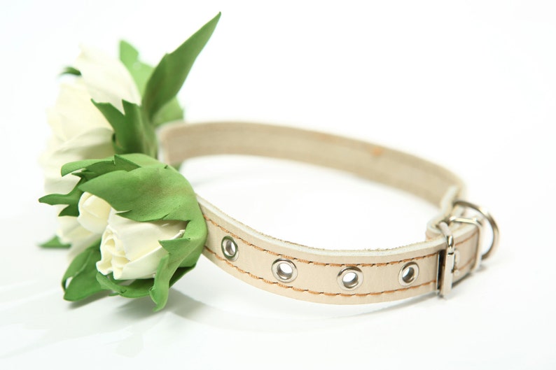 Puede incluir: Un collar de perro de cuero blanco con un dise&ntilde;o floral. El collar tiene una hebilla plateada y est&aacute; decorado con flores blancas y hojas verdes.