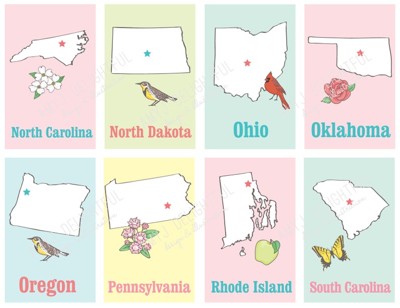 Printable STATES Flashcards Digital File Instant Download state symbols, abbreviations, educational, homeschool, capitals, decor, USA image 7