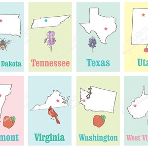 Printable STATES Flashcards Digital File Instant Download state symbols, abbreviations, educational, homeschool, capitals, decor, USA image 8