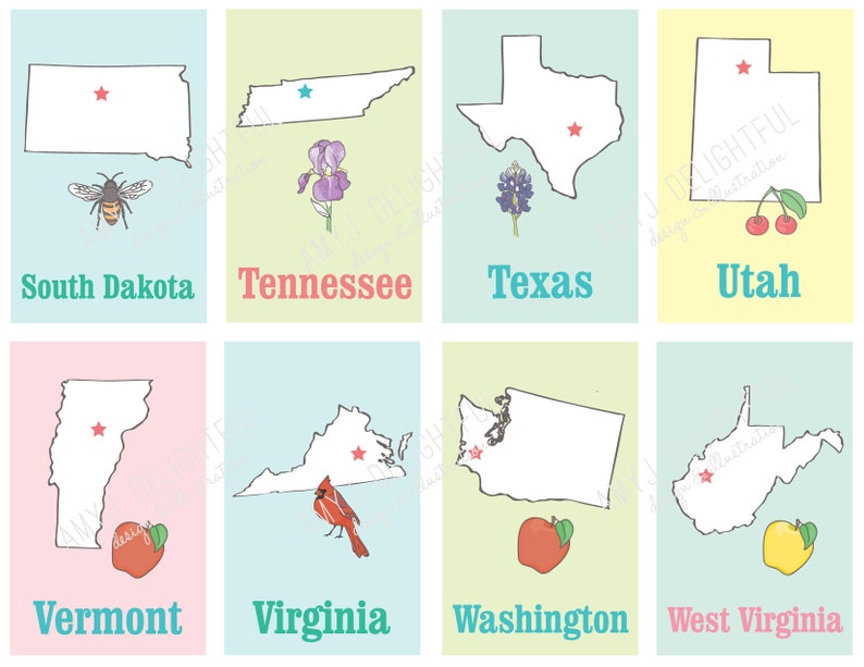 Printable STATES Flashcards Digital File Instant Download state symbols, abbreviations, educational, homeschool, capitals, decor, USA image 8
