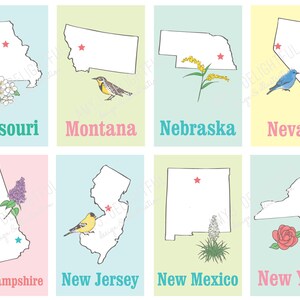 Printable STATES Flashcards- Digital File Instant Download - State ...