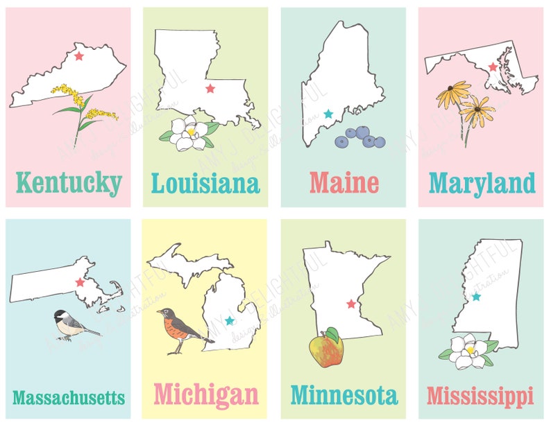 Printable STATES Flashcards- Digital File Instant Download - State ...