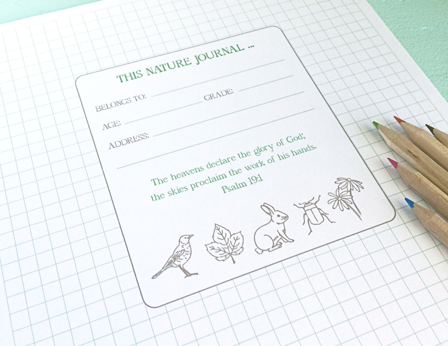 NATURE JOURNAL Printable Instant PDF Download Nature Study - Etsy