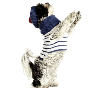 Knitting Pattern-Knitting Pattern- Dog coat and Beret- DK 8 ply Light worsted yarn wool- Fits length 33 or 41cm PDF Download
